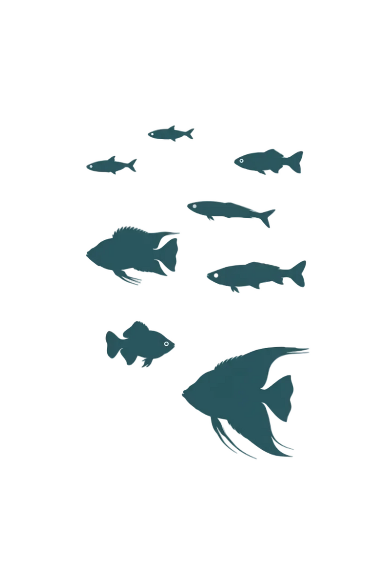 Aquatic World