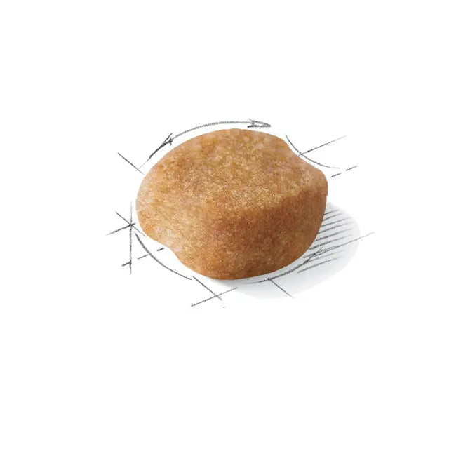 Royal Canin Yorkshire Terrier Adult - 1.5KG