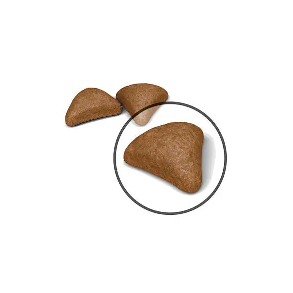 Royal Canin Hairball Care Adult Cats