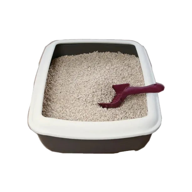 Cat Litter Box