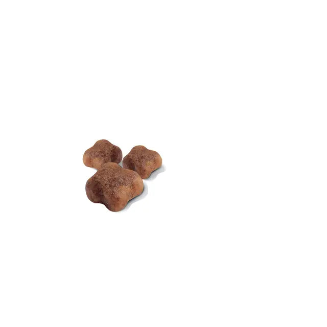 Royal Canin Mother & Baby Cat Food - 2KG