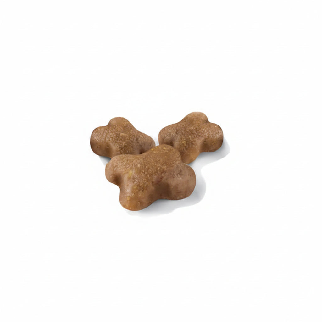 Royal Canin Kitten Chaton - 2KG