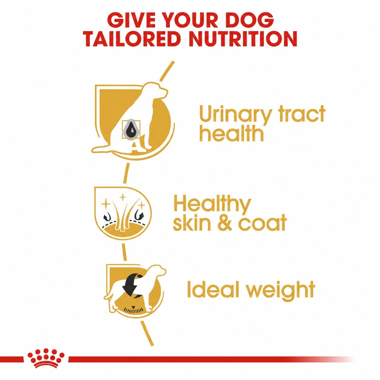 Royal Canin highlighting tailored nutrition for urinary tract health, healthy skin & coat, and ideal weight.