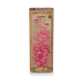 Aqua-Plant Blooming Ludwigia Pink aquarium plant in a clear blister pack with a brown backing card