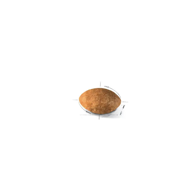 Royal Canin Persian Cat Food - 2KG