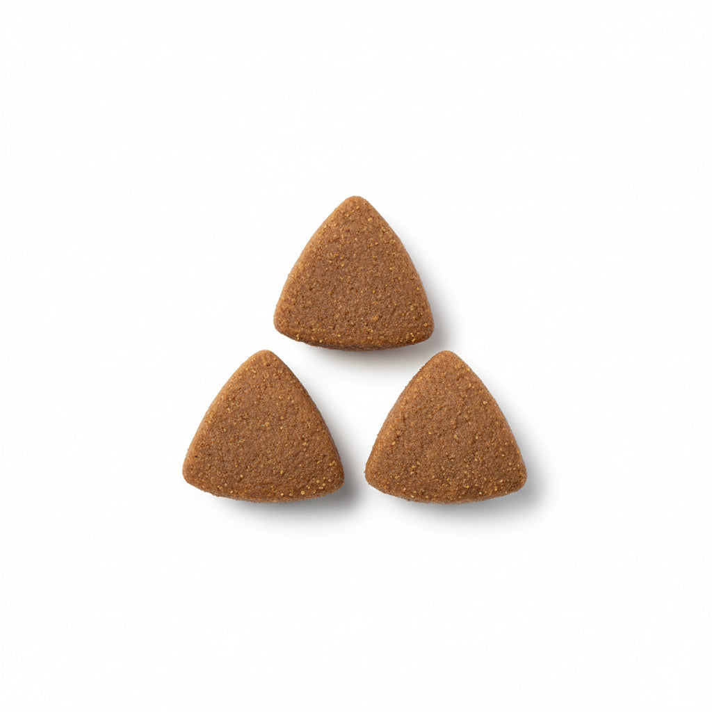 Royal Canin Indoor Adult Cats - 2KG