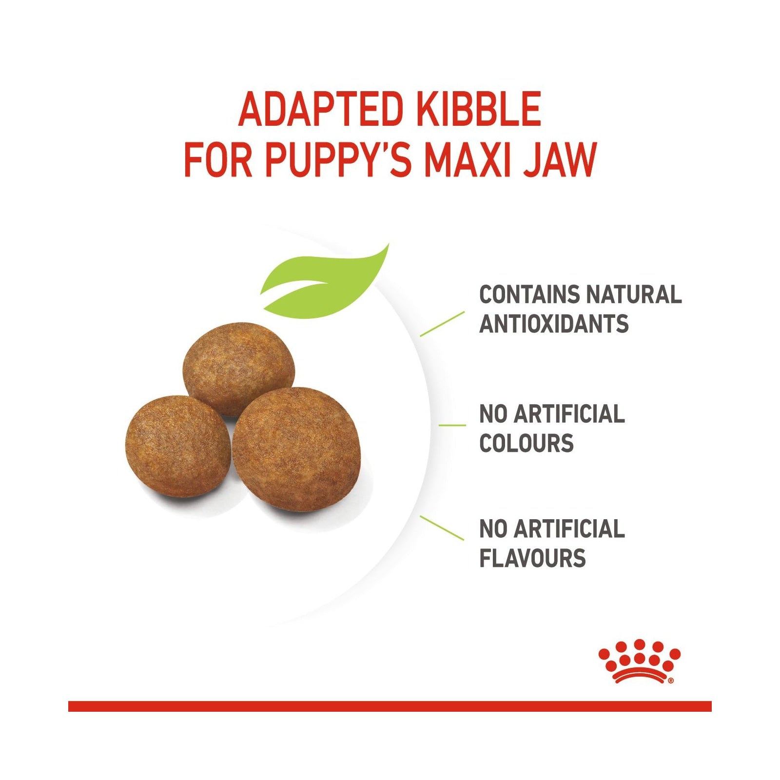 Dog kibble ball product graphic with the text 'ADAPTED KIBBLE FOR PUPPY'S MAXI JAW' and callouts stating it contains natural antioxidants, has no artificial colours, and no artificial flavours. Three brown kibble balls are shown on a white plate-like shape with a green leaf icon, and the Royal Canin crown logo appears at the bottom right.