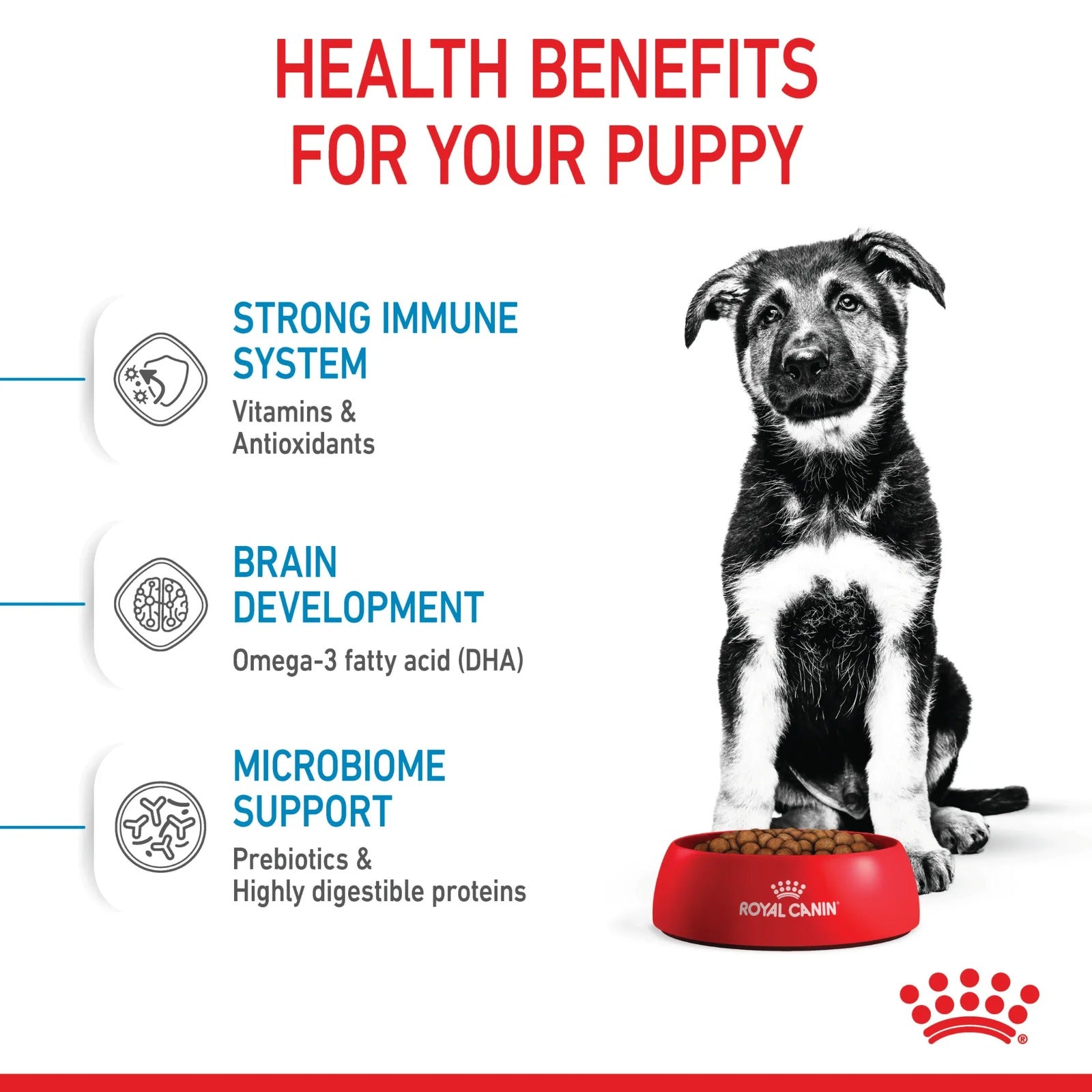 Promotional graphic for Royal Canin puppy food with a black-and-white puppy sitting beside a red bowl. Text highlights health benefits: strong immune system, brain development, and microbiome support.
