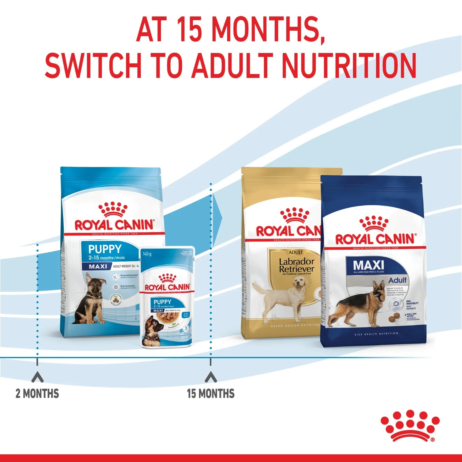 Royal Canin dog food packaging with stages of growth on a white background