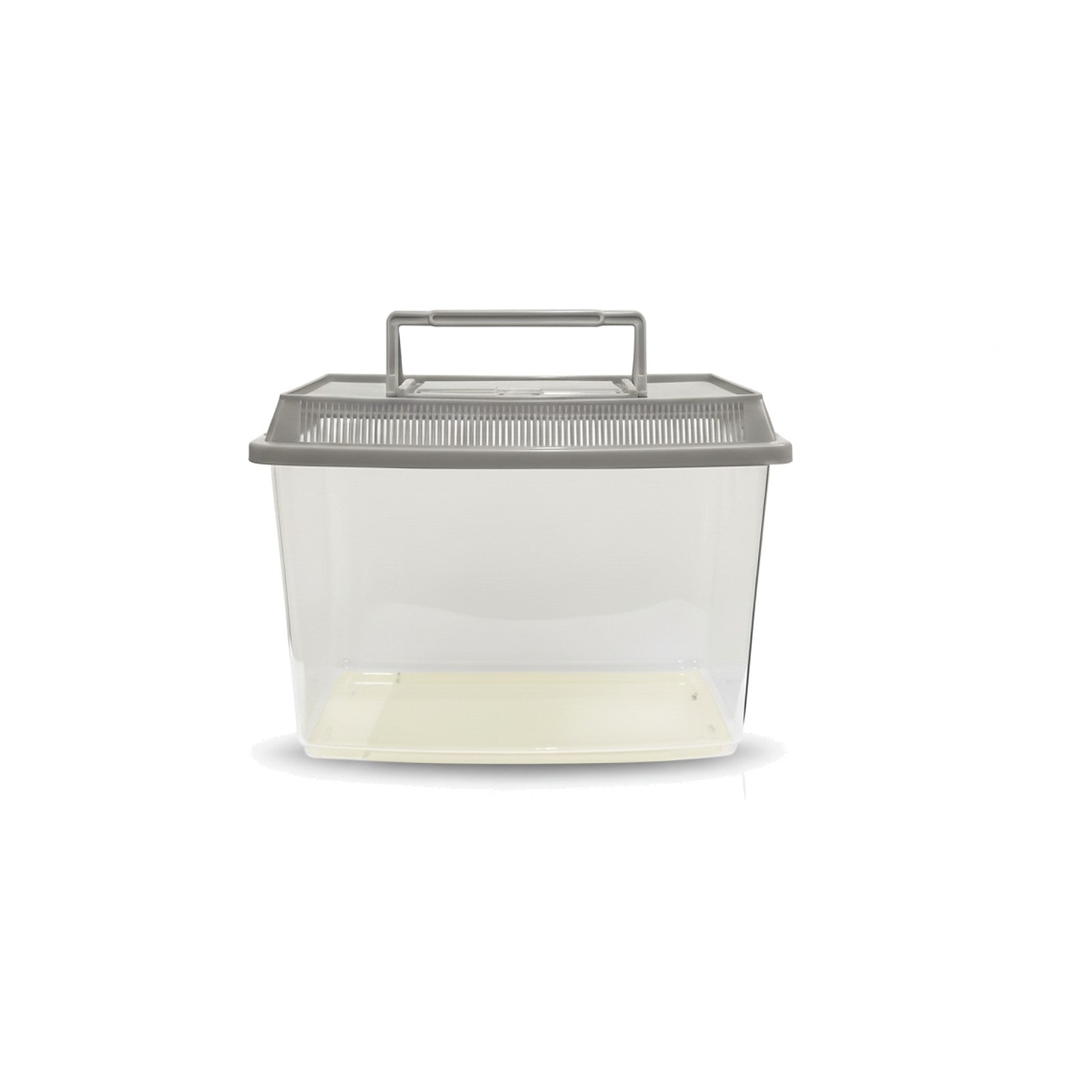 Clear small plastic tank with a gray ventilated lid and carry handle centered on a white background
