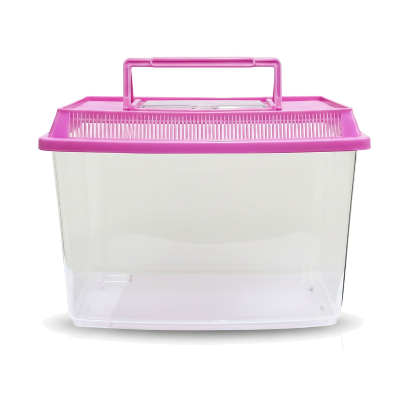 Clear small plastic tank with a pink ventilated lid and carry handle on a white background