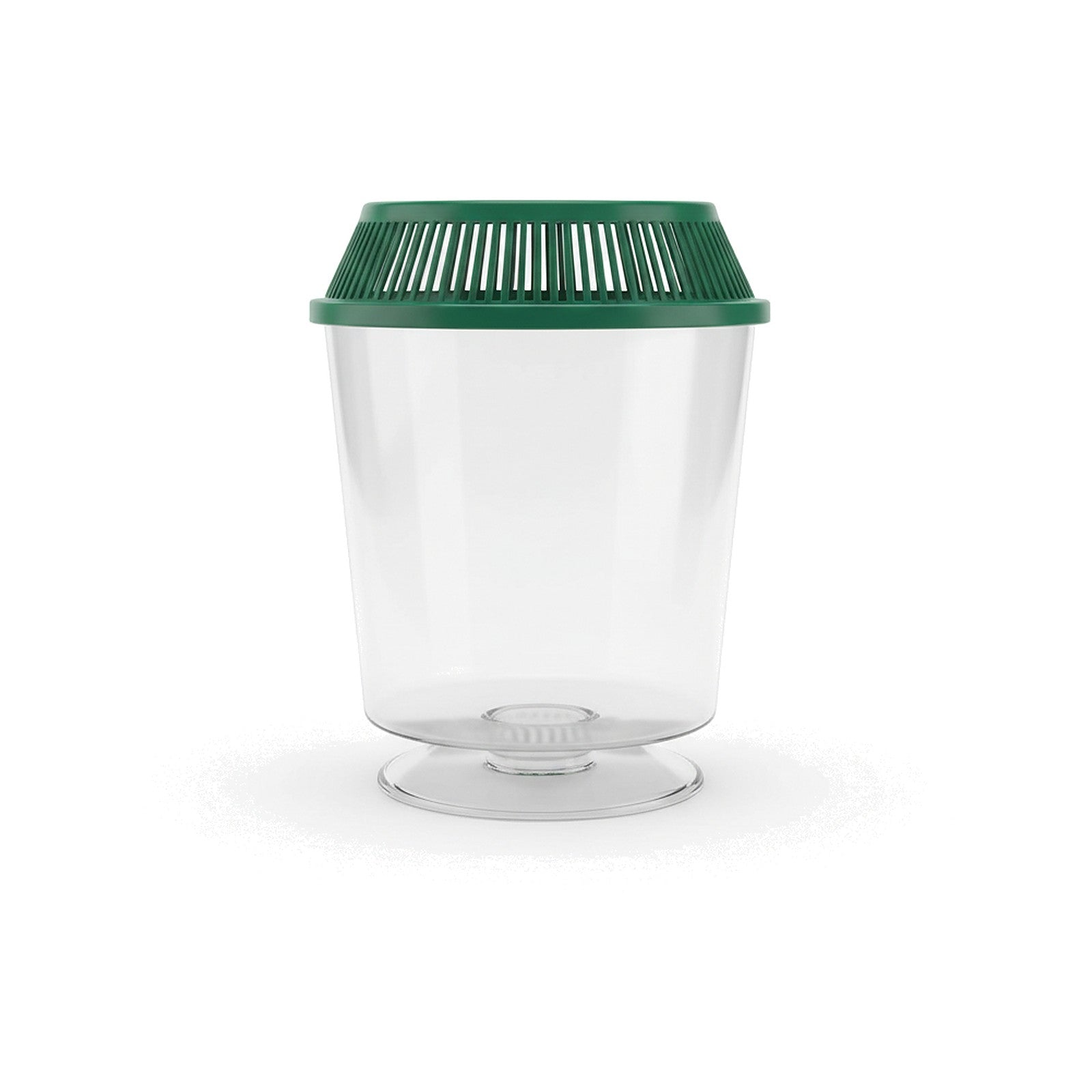 Clear x-small plastic tank with a green ventilated lid on a white background