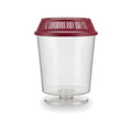 Clear x-small plastic tank with a red ventilated lid on a white background