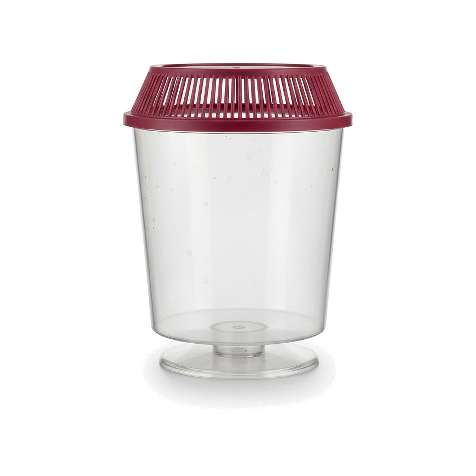 Clear x-small plastic tank with a red ventilated lid on a white background